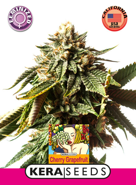 Cherry Grapefruit