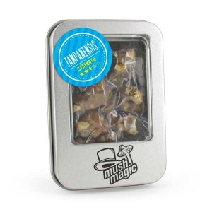 Tampanensis - 15 Gram