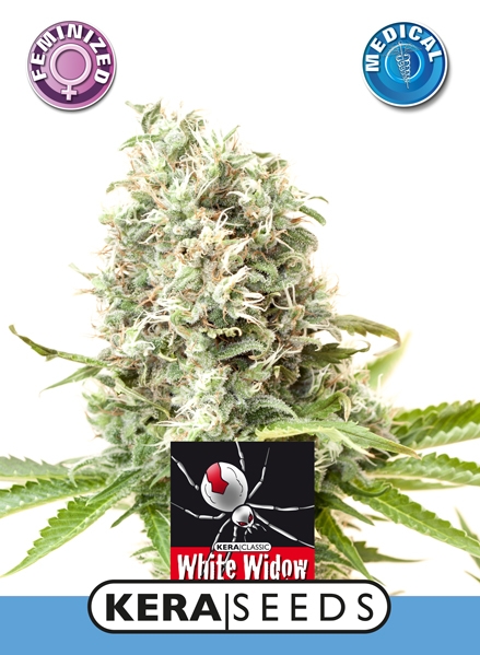 medical white widow