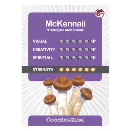 McKennaii Magic Mushroom Paddo Grow Kit kopen