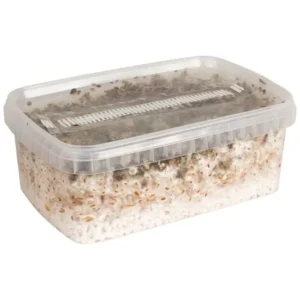 Paddo Kweekset Mexican (Ready-to-Grow Growkit)