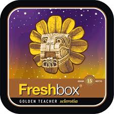 Freshbox Golden Teacher 15 gram