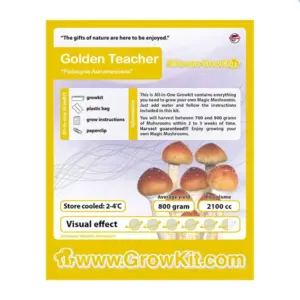 Golden Teacher Paddo Growkit – 2100 cc